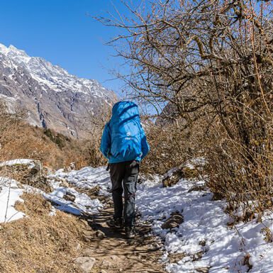 11 Days Langtang Valley Trek