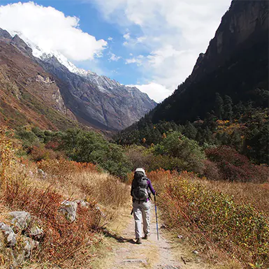 Langtang Valley Trek without a guide