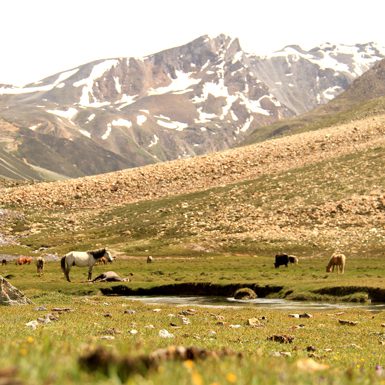 Limi Valley Trekking