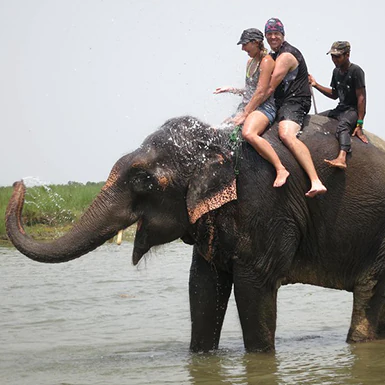 Kathmandu Chitwan Tour